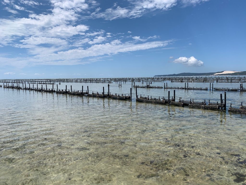 oyster lease