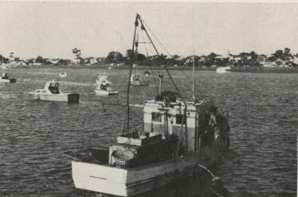 Scarborough from the boat harbour 1971